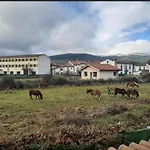 Гостевой дом El Valle Rural Сотильо-дель-Ринкон