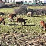 El Valle Rural 4*