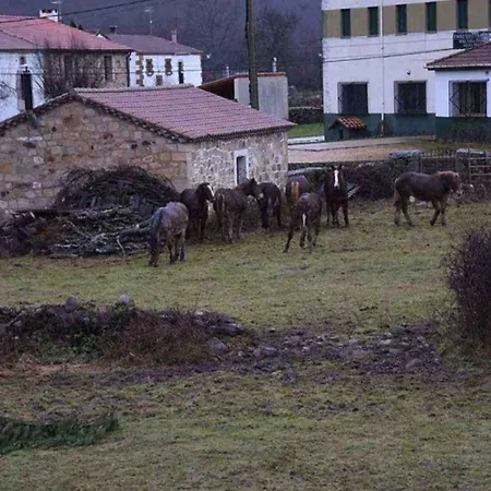El Valle Rural Vendégház Sotillo del Rincón