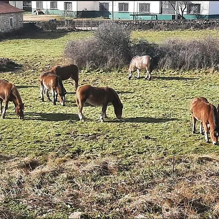 El Valle Rural 4*