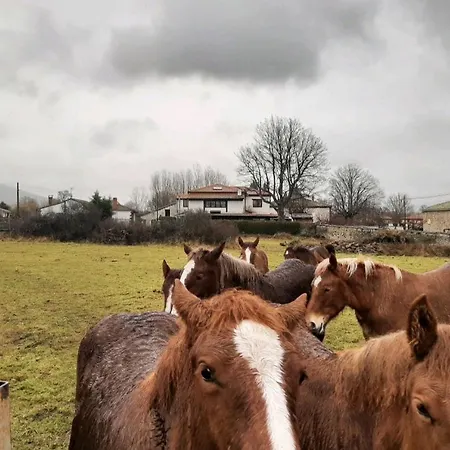 El Valle Rural 4*