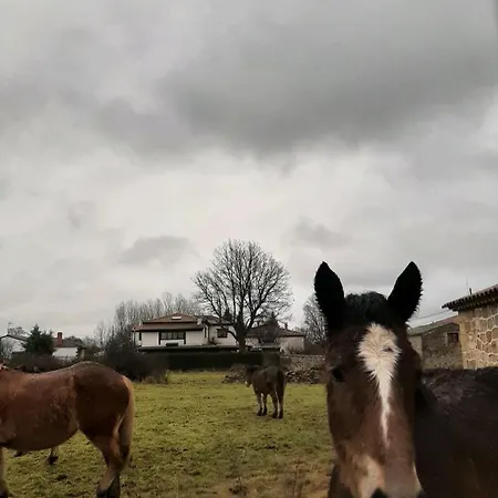 בית הארחה El Valle Rural El Rincón