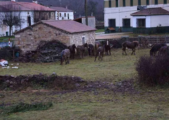 El Valle Rural Guest house Sotillo Del Rincon